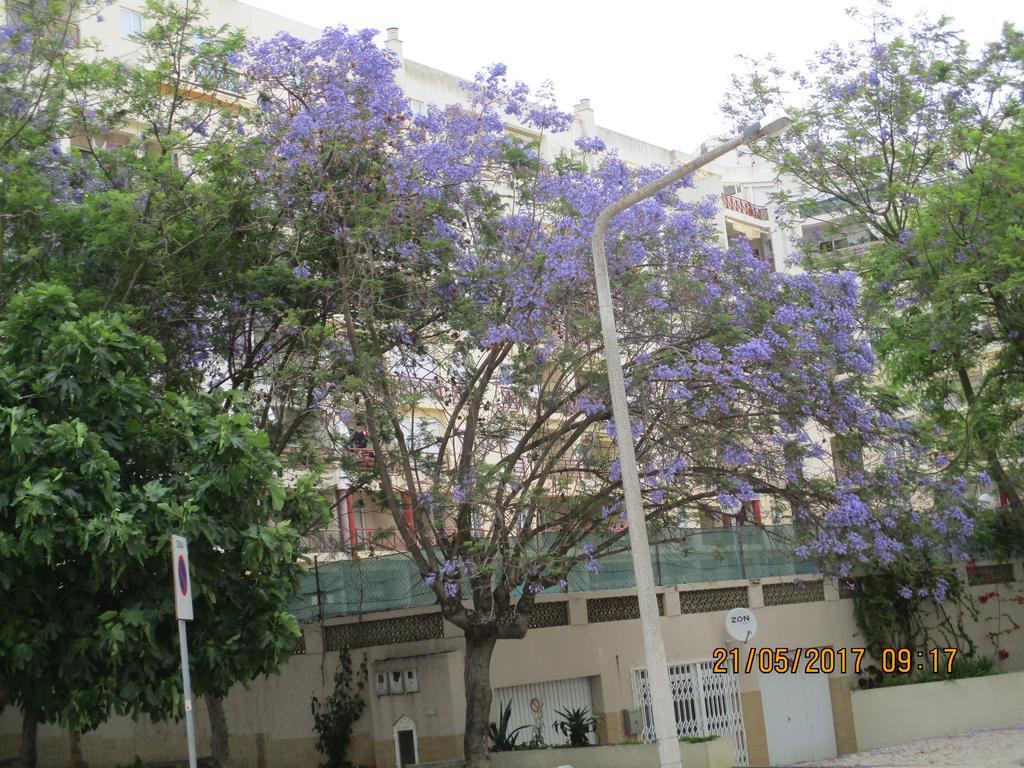 Edificio Canoa アルマカオ・デ・ペラ エクステリア 写真